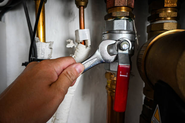 Best Leak Detection Services  in East Honolulu, HI